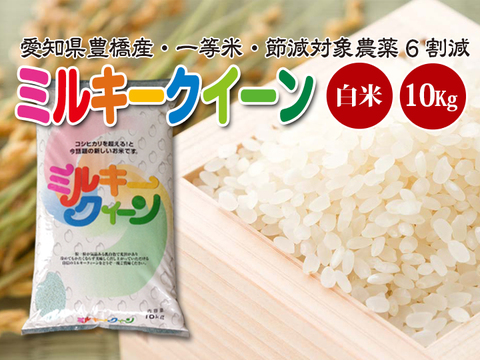 愛知県産ミルキークイーン 白米10㎏ - 米/穀物